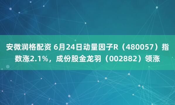 安微润格配资 6月24日动量因子R（480057）指数涨2.1%，成份股金龙羽（002882）领涨