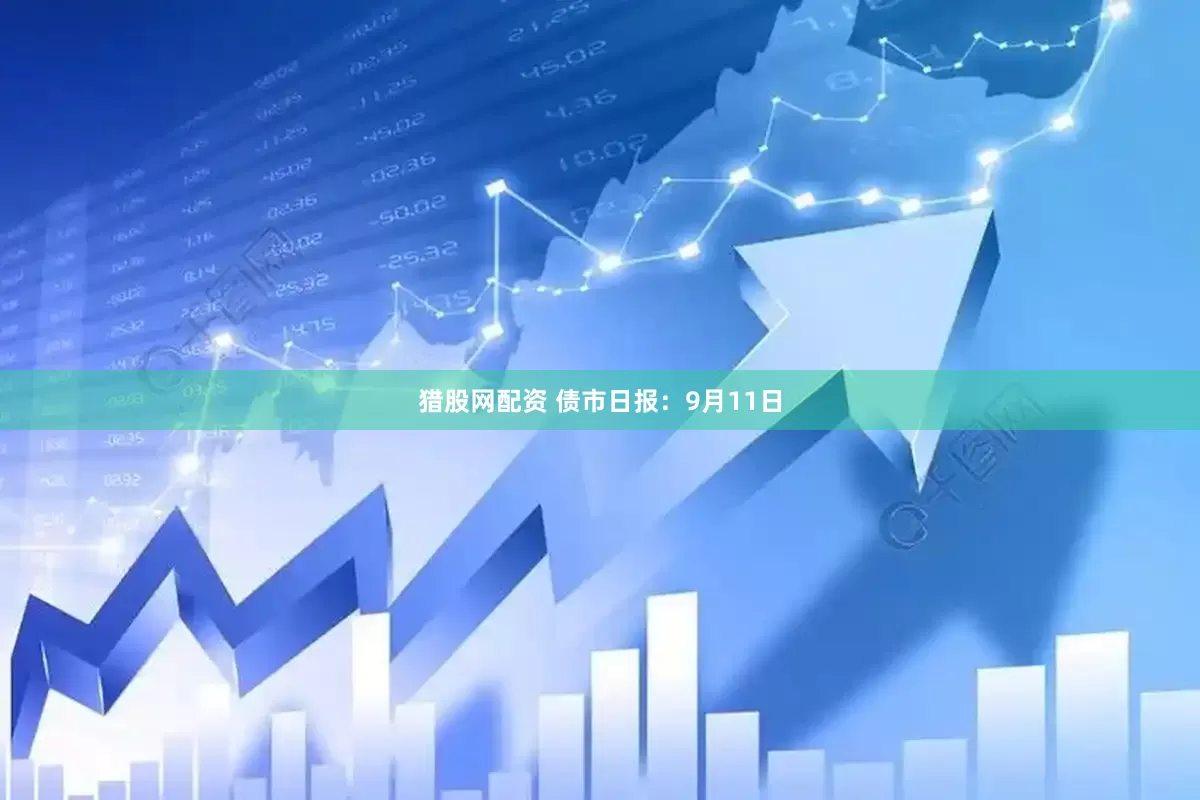 猎股网配资 债市日报：9月11日