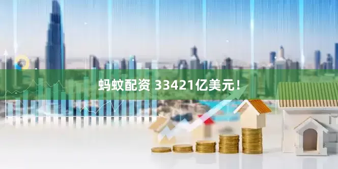 蚂蚊配资 33421亿美元!